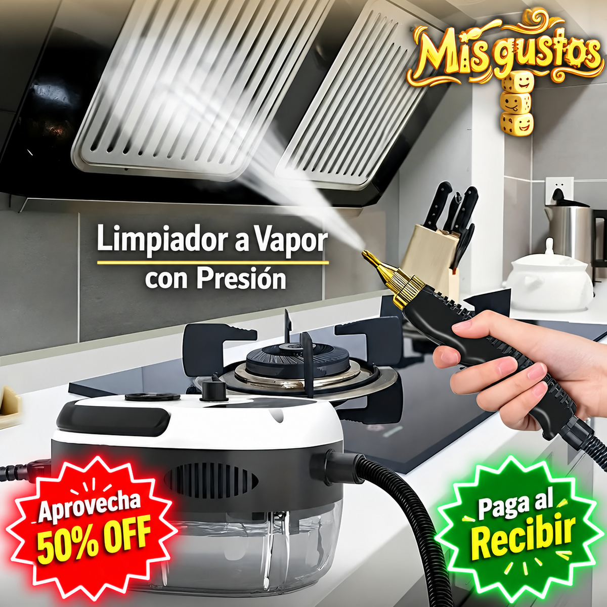 Limpiador A Vapor Presion 2500w Portatil